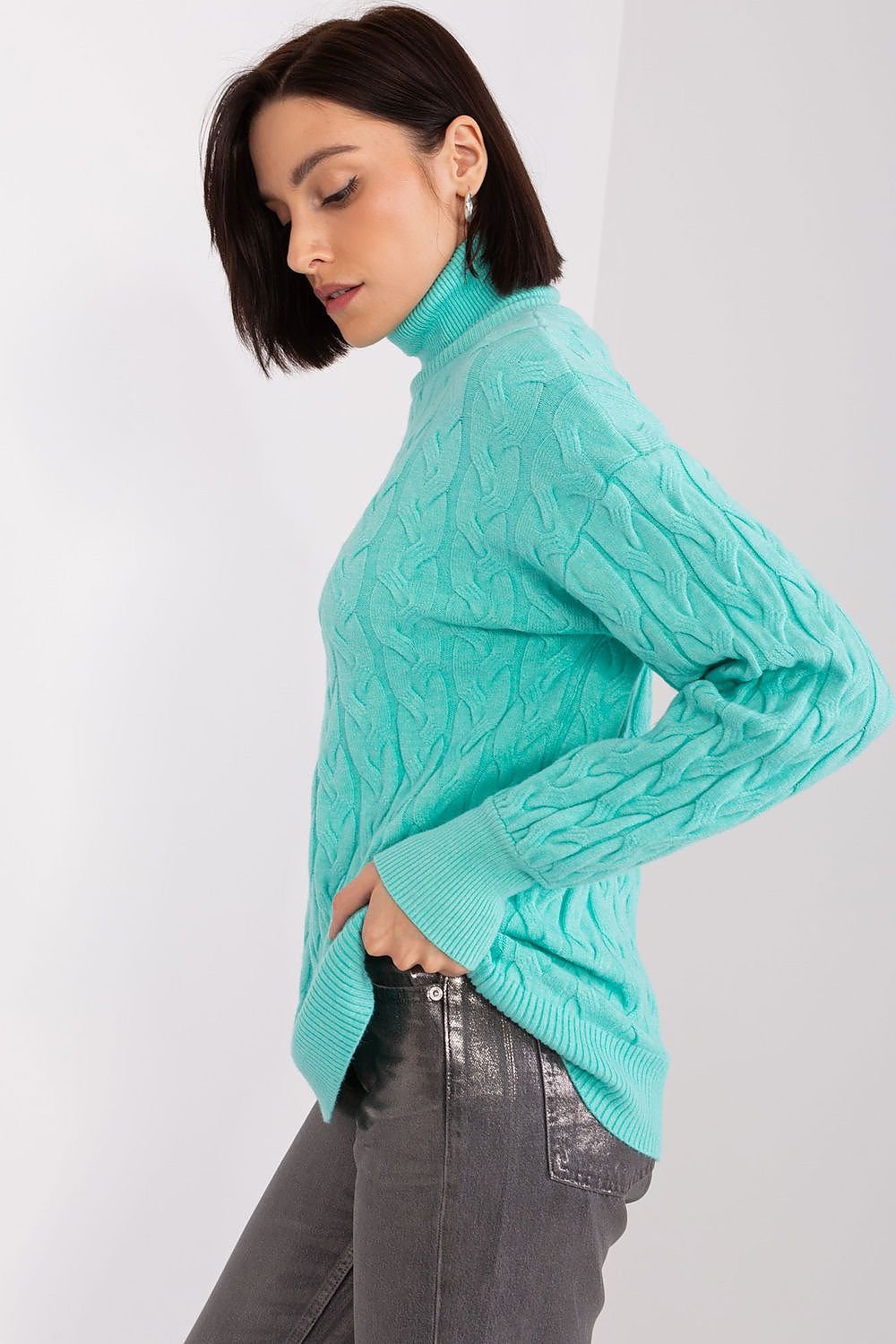 Rollkragenpullover Model 188312 AT