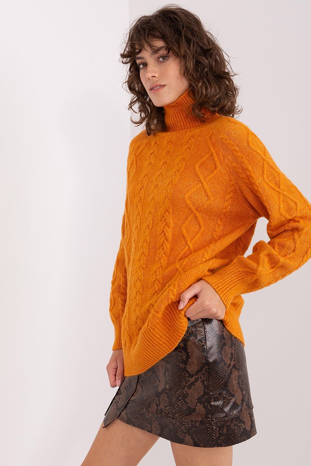 Rollkragenpullover Model 189230 AT