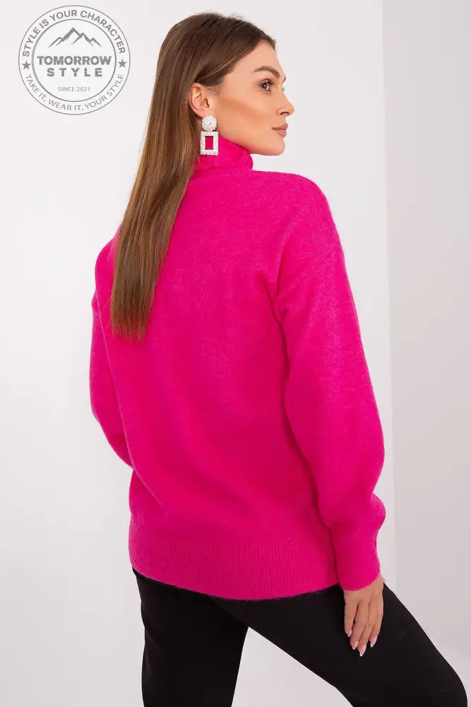  Rollkragenpullover model 189895 AT 